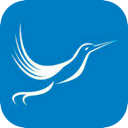 Fengniao Free VPN, 蜂鸟免费梯子